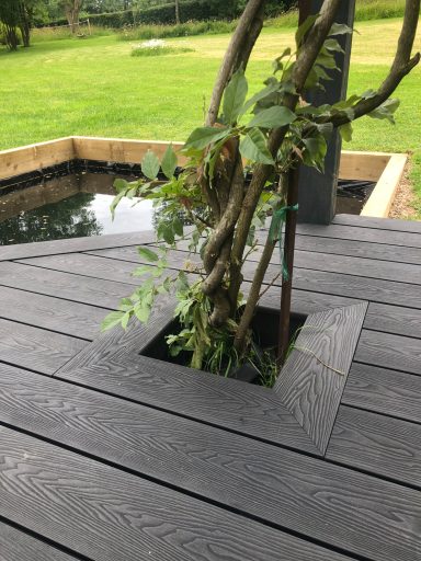 Black decking surrounding wysteria