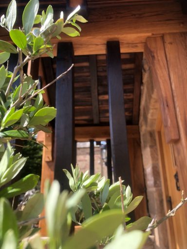 Close-up of greenery in front of wooden structure with black reclaimed oak beams.